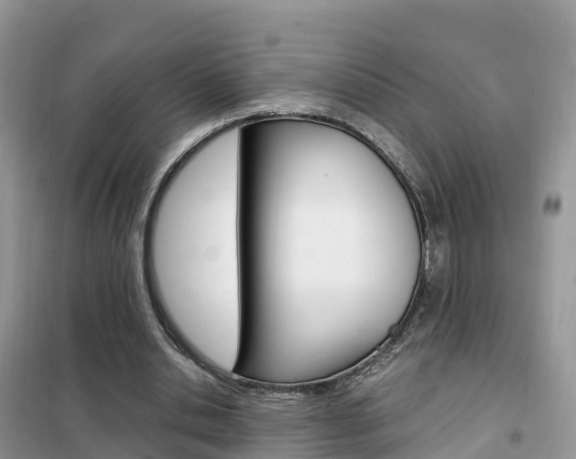 X0000102370438200808011027