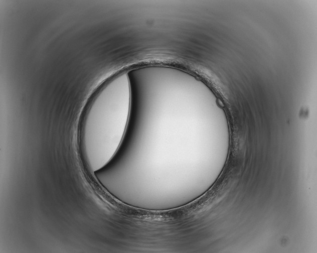 X0000102370439200808011027