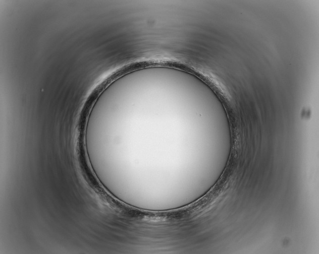 X0000102370440200808011027