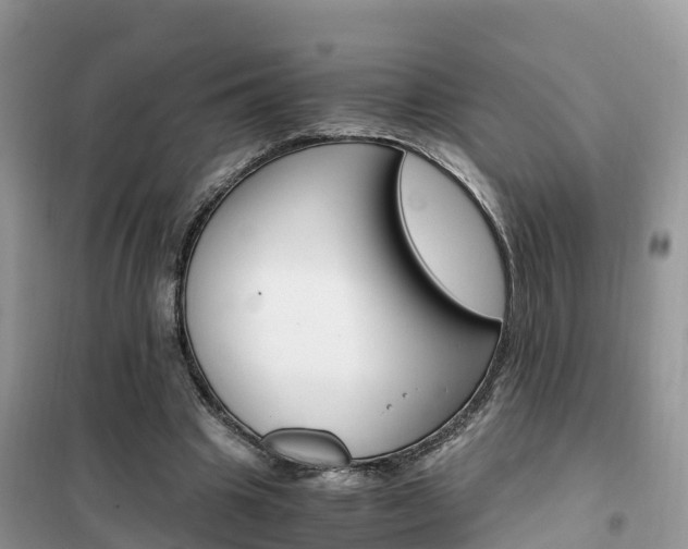 X0000102370441200808011027
