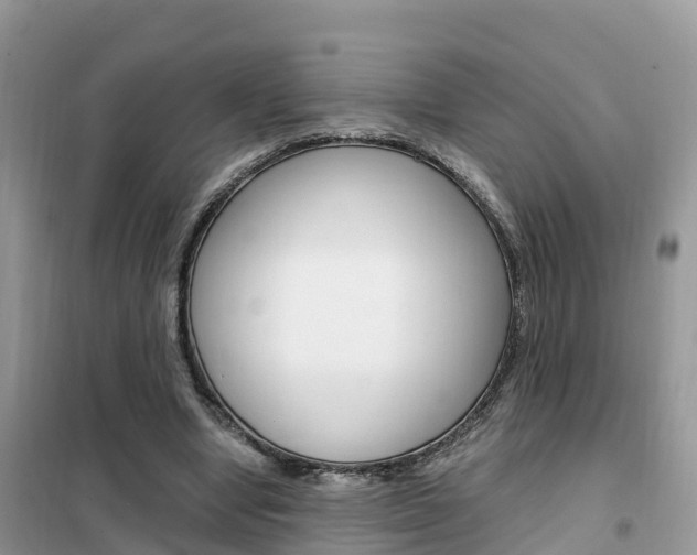X0000102370442200808011027