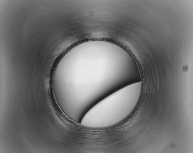 X0000102370443200808011027