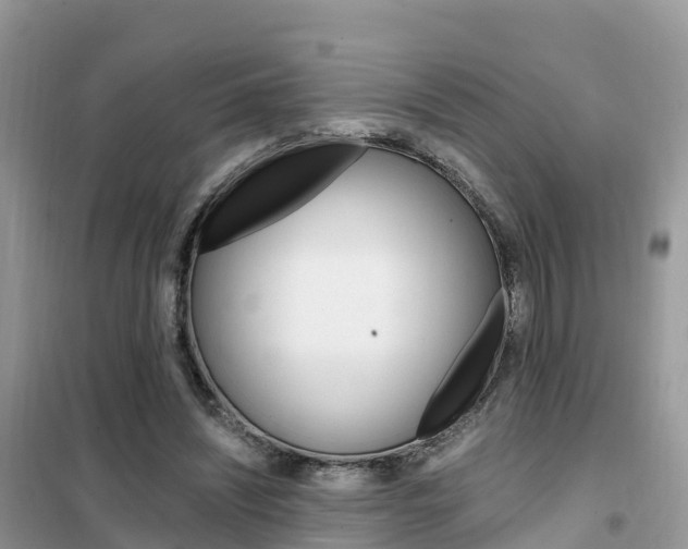 X0000102370444200808011027