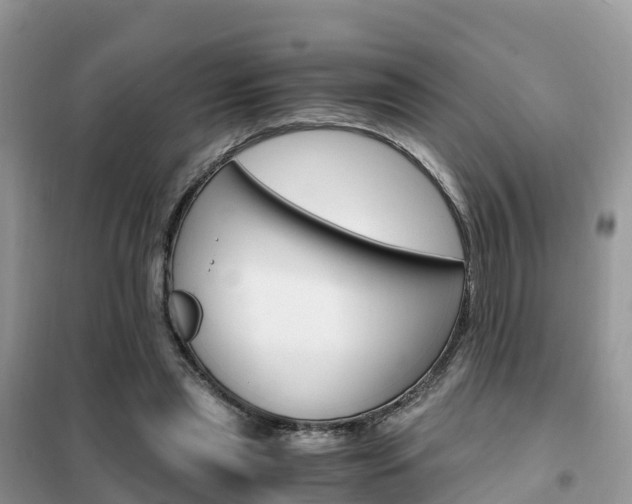 X0000102370445200808011027