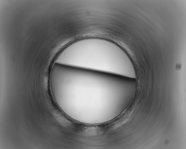 X0000102370446200808011027