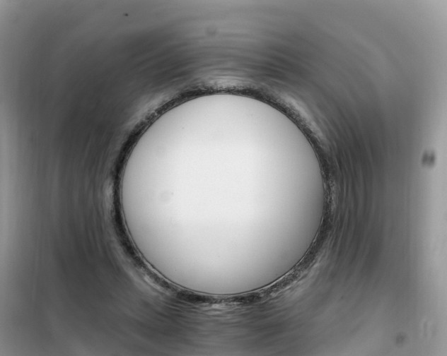 X0000102370447200808011027