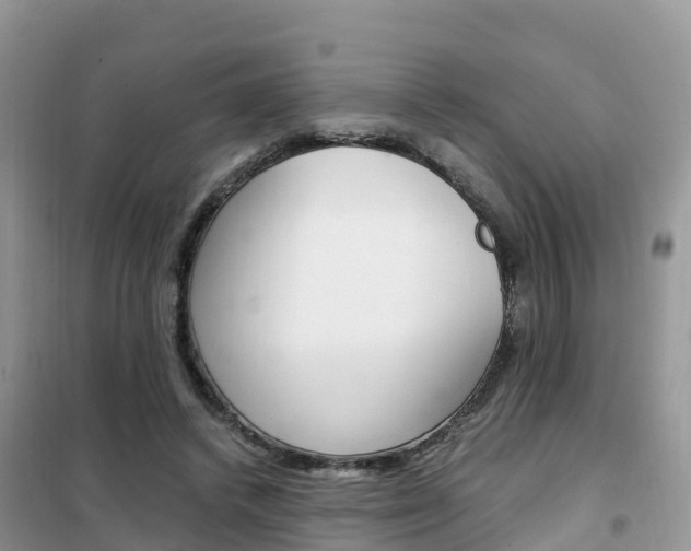 X0000102370448200808011027