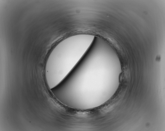 X0000102370450200808011027