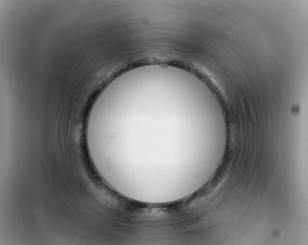 X0000102370451200808011027