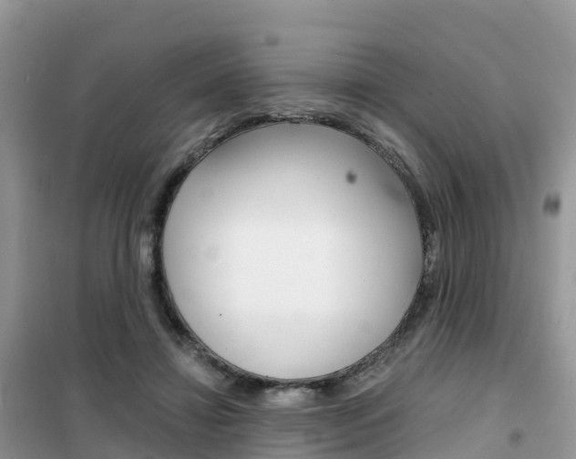 X0000102370452200808011027