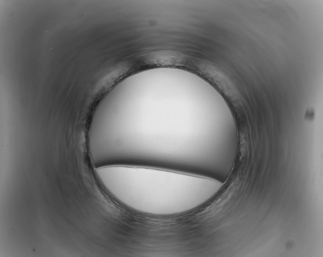 X0000102370453200808011027