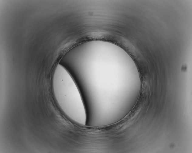 X0000102370454200808011027