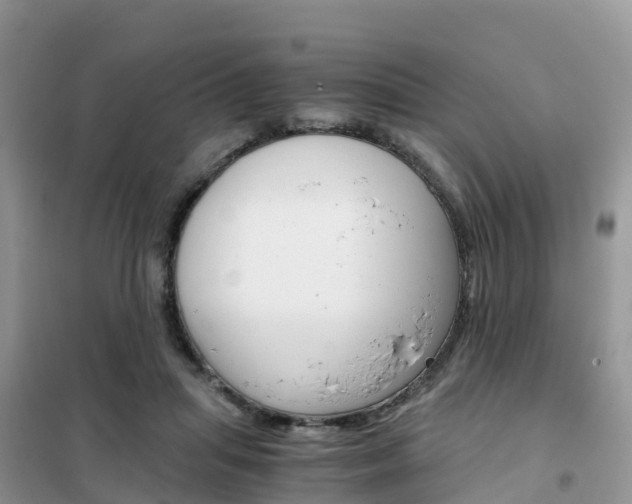 X0000102370455200808011027