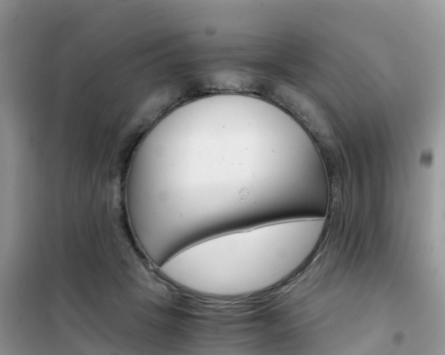 X0000102370457200808011028