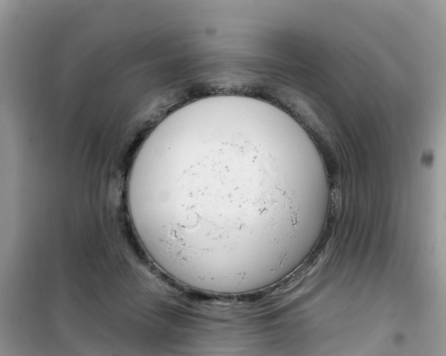 X0000102370458200808011028