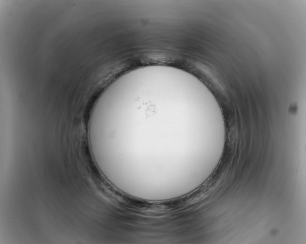 X0000102370459200808011028