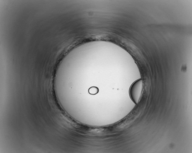 X0000102370461200808011028
