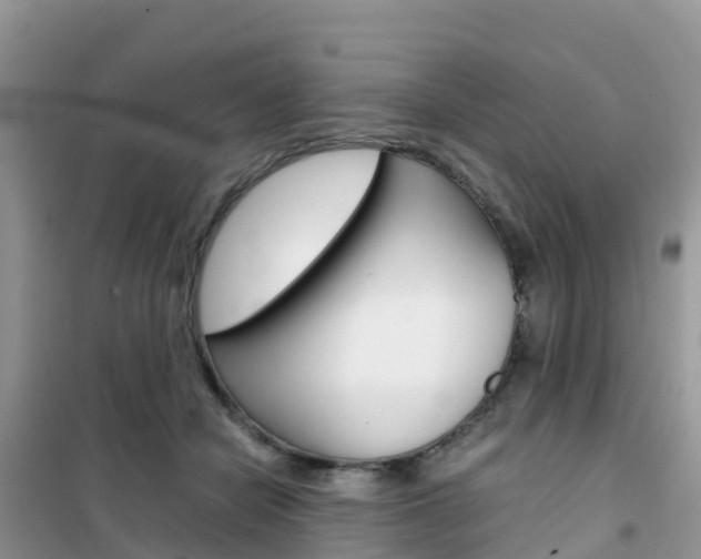 X0000102370462200808011028