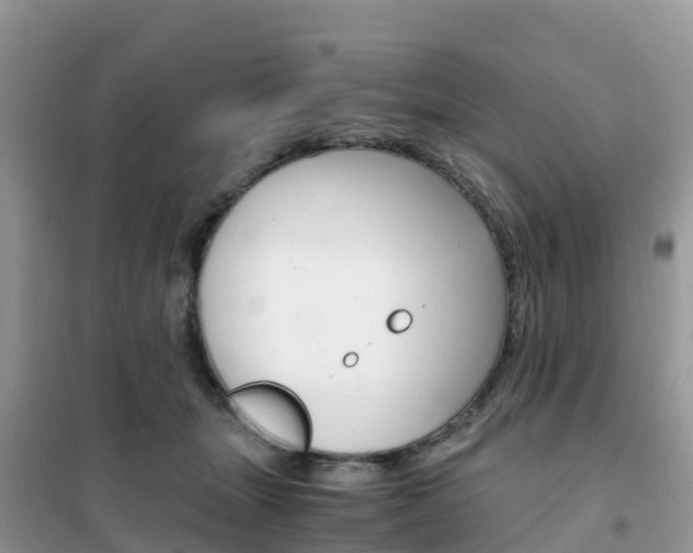 X0000102370463200808011028