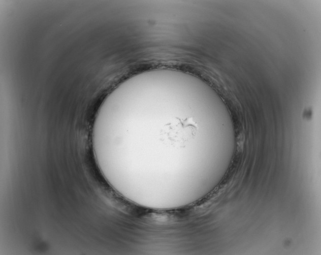 X0000102370464200808011028