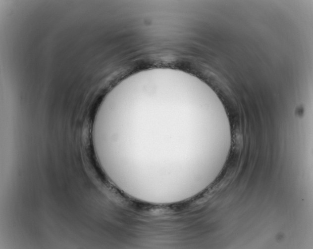 X0000102370468200808011028