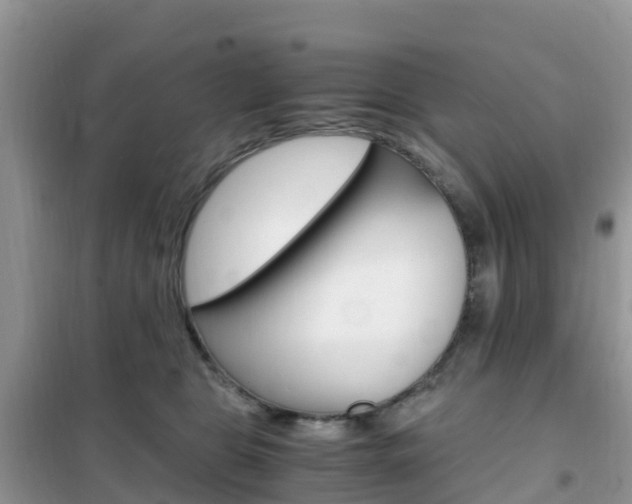 X0000102370469200808011028