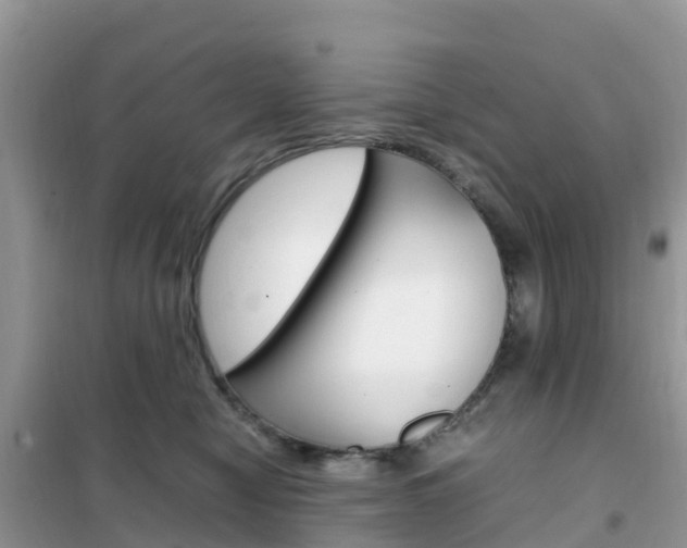 X0000102370470200808011028