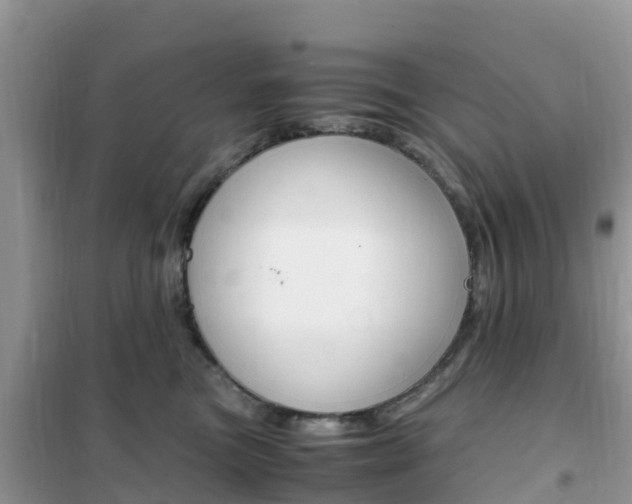 X0000102370473200808011028