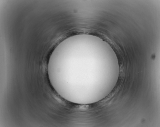 X0000102370474200808011028