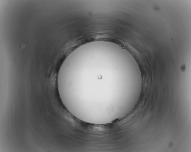 X0000102370475200808011028