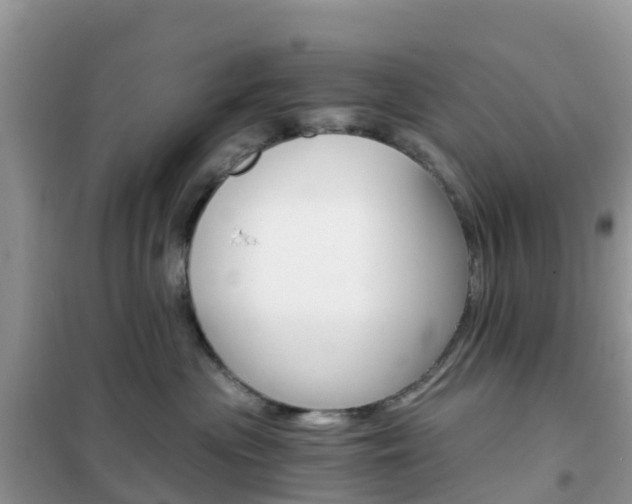 X0000102370477200808011028