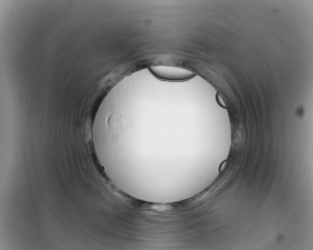 X0000102370478200808011028