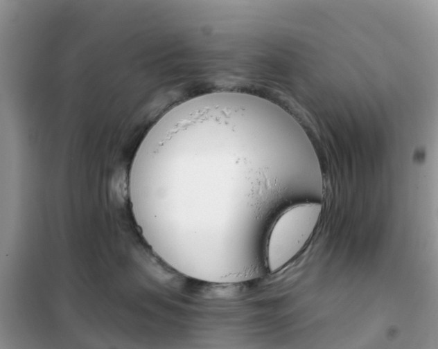 X0000102370479200808011028