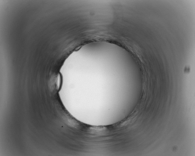 X0000102370480200808011028