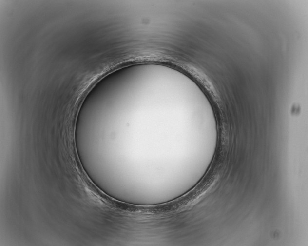 X0000102370481200808011027