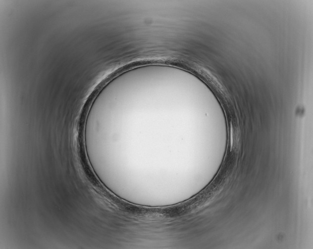 X0000102370483200808011027