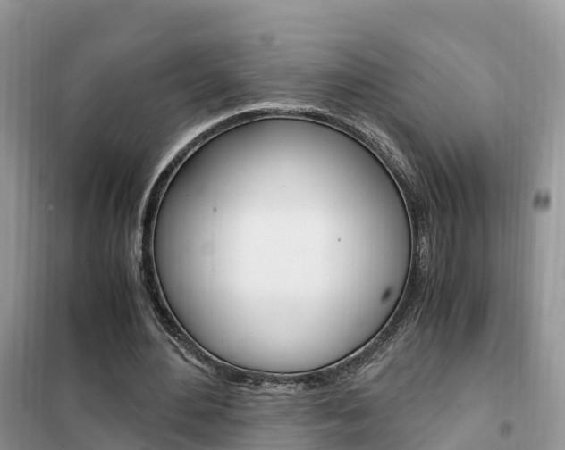 X0000102370484200808011027