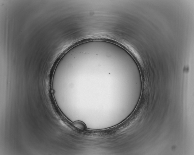 X0000102370485200808011027