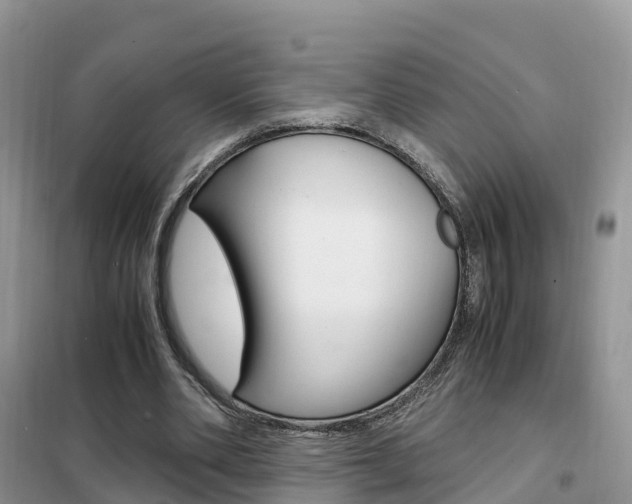 X0000102370486200808011027