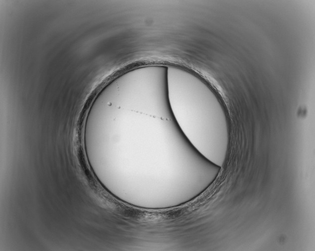 X0000102370487200808011027
