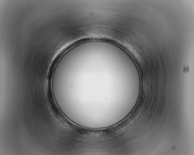 X0000102370488200808011027