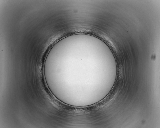 X0000102370490200808011027