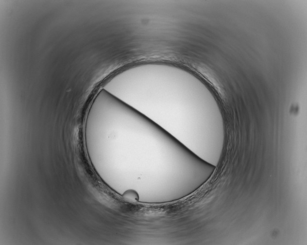 X0000102370491200808011027