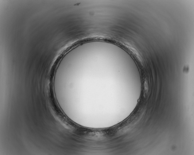 X0000102370492200808011027