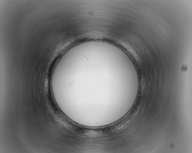 X0000102370494200808011027