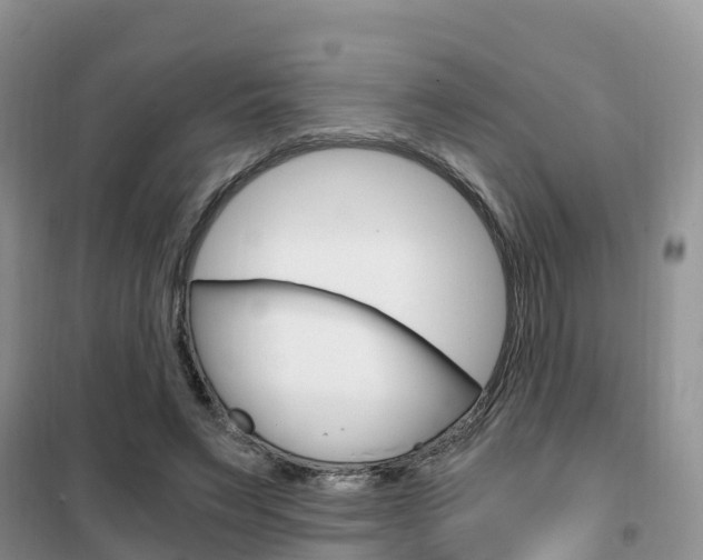 X0000102370495200808011027