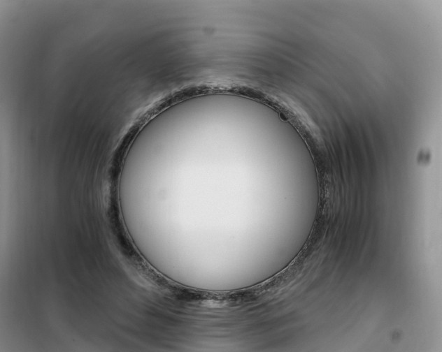 X0000102370496200808011027