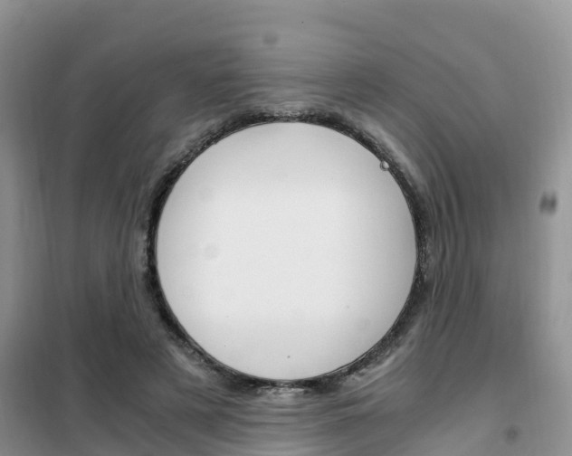 X0000102370497200808011027