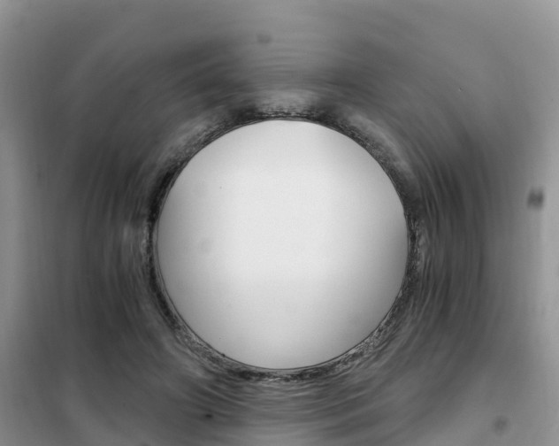 X0000102370498200808011027