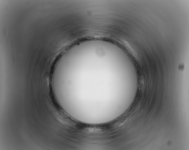 X0000102370500200808011027